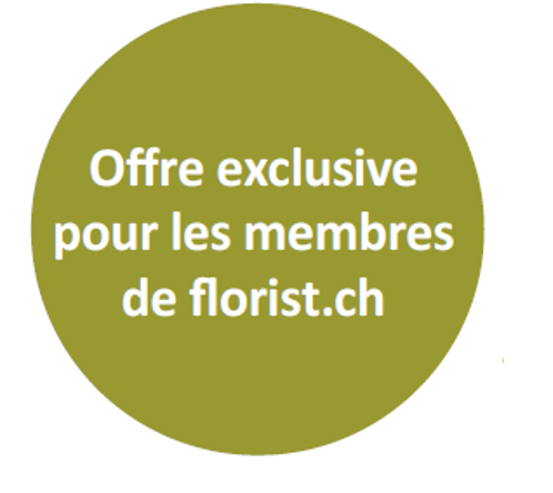 Nouvelles Association Suisse Des Fleuristes