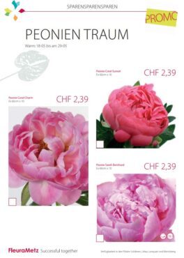 Angebot_Fleurametz