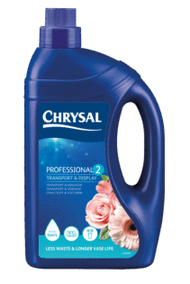 Chrysal Professional 2